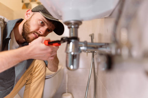 Best Septic System Installation and Maintenance  in Janesville, WI